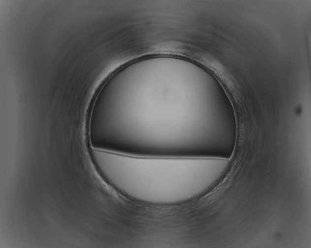 X0000097811331200803140750