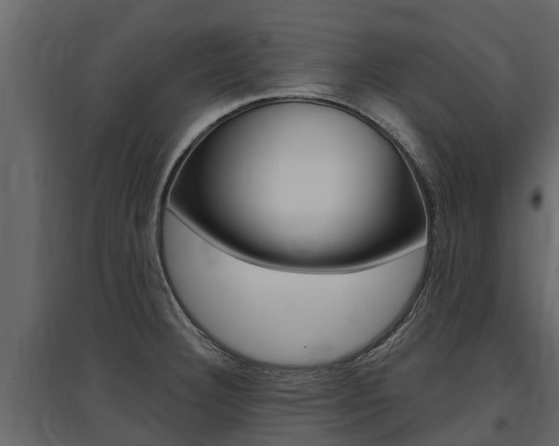 X0000097811332200803140750