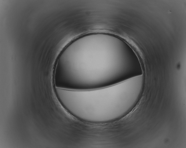 X0000097811333200803140750