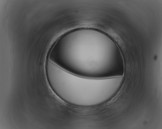 X0000097811334200803140750
