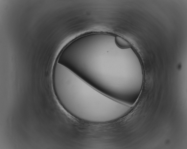X0000097811335200803140750