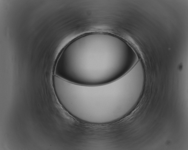 X0000097811336200803140750