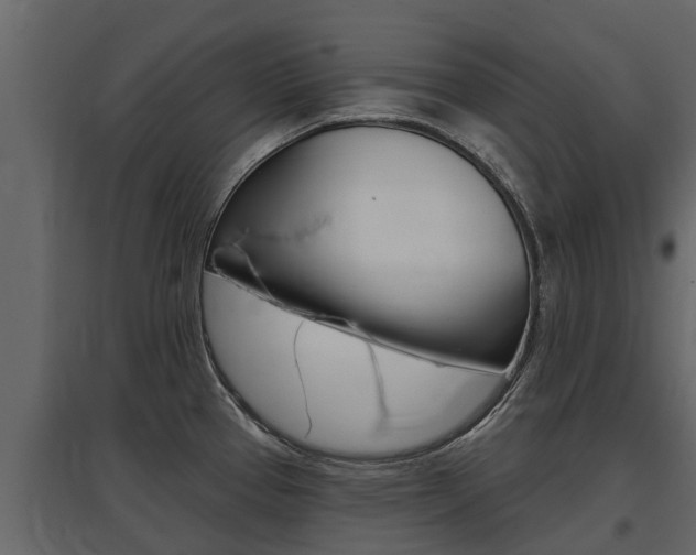 X0000097811337200803140750