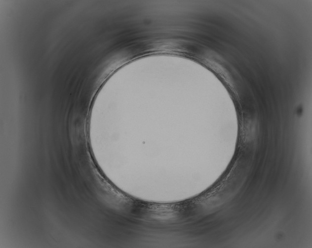 X0000097811338200803140750