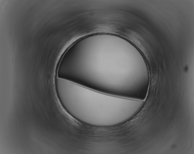 X0000097811339200803140750