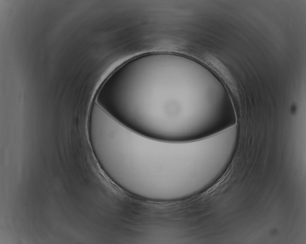 X0000097811340200803140750