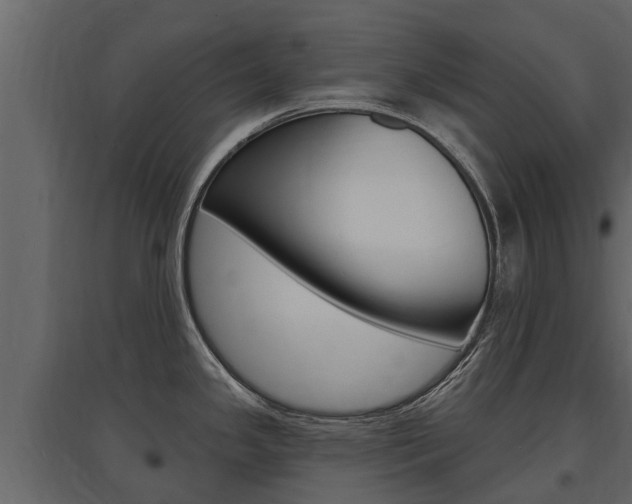 X0000097811341200803140750
