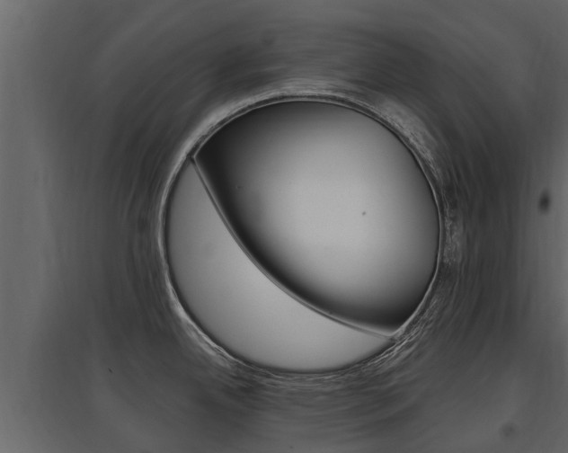 X0000097811342200803140750