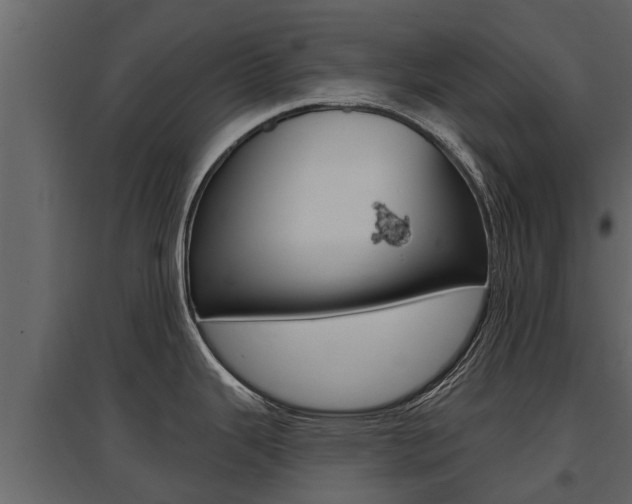 X0000097811343200803140750