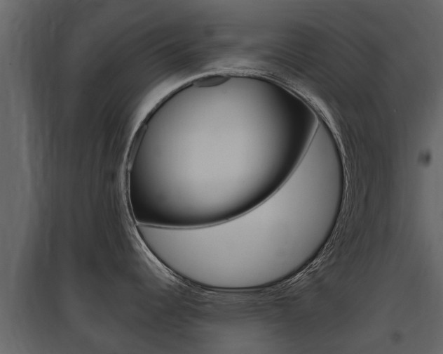 X0000097811344200803140750