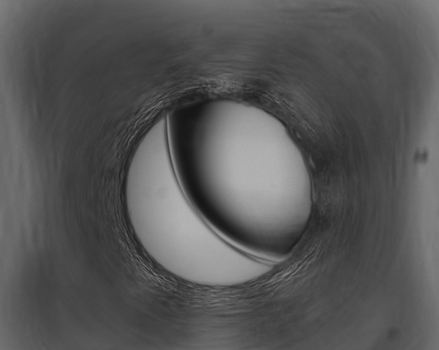 X0000097811345200803140749