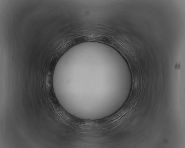 X0000097811346200803140749