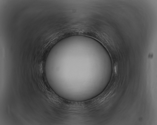 X0000097811347200803140749