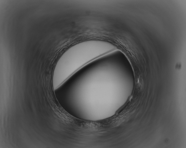 X0000097811348200803140749