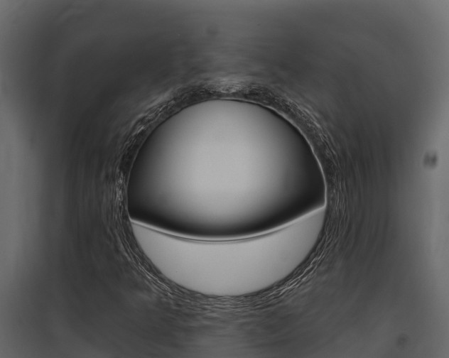 X0000097811349200803140749