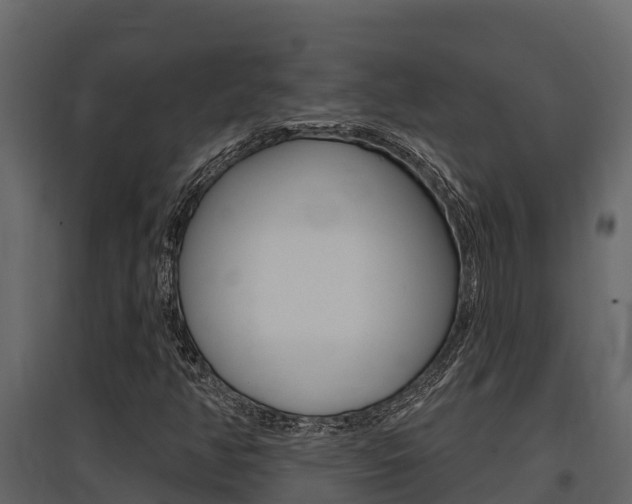 X0000097811350200803140749