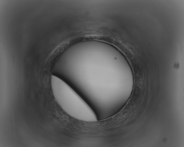 X0000097811351200803140749