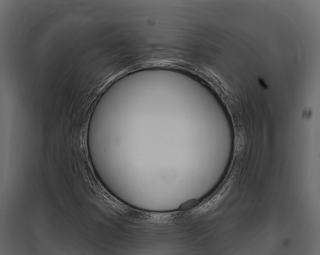 X0000097811353200803140749