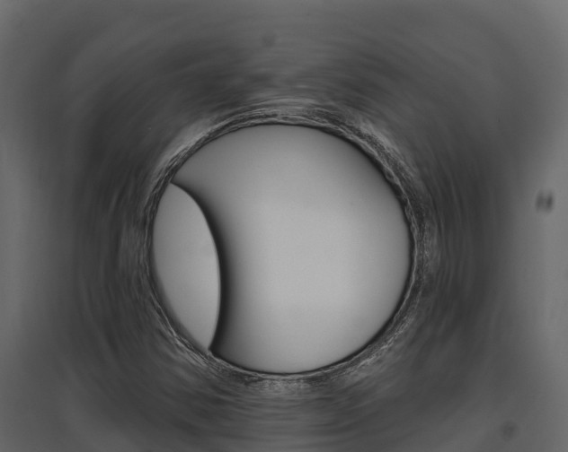 X0000097811354200803140749