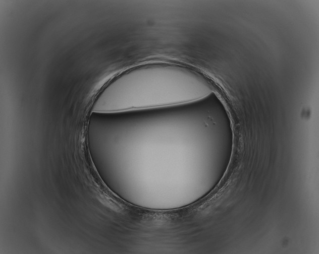 X0000097811355200803140749