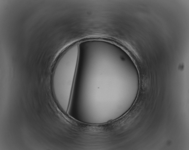 X0000097811356200803140749