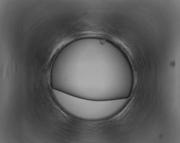 X0000097811357200803140749