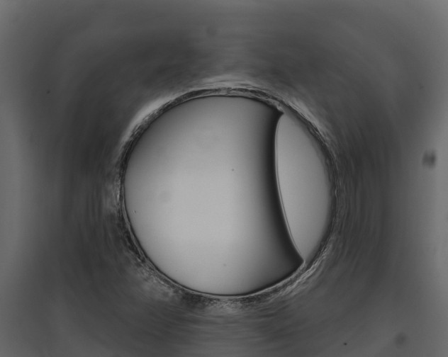 X0000097811358200803140749