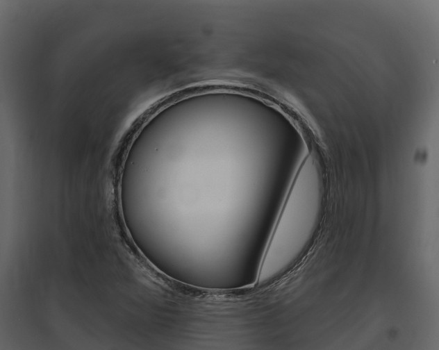 X0000097811360200803140749