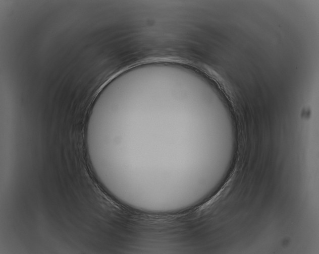 X0000097811361200803140749