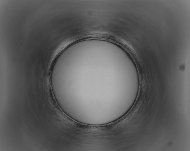 X0000097811362200803140749