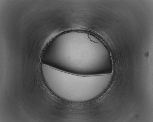 X0000097811363200803140749