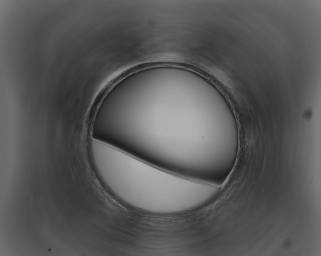 X0000097811364200803140749