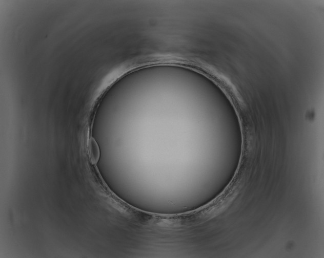 X0000097811365200803140749