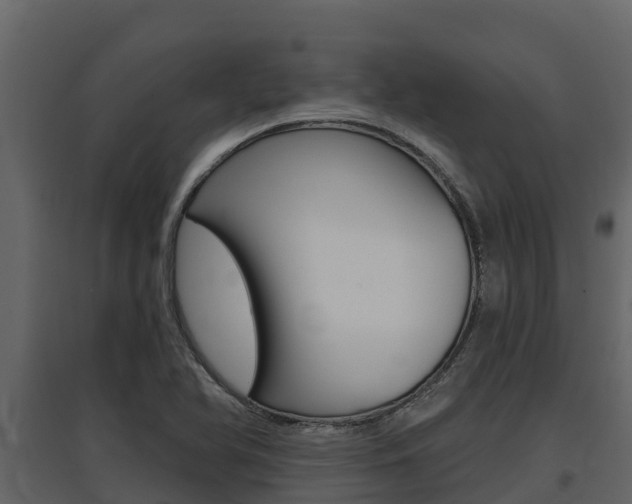 X0000097811366200803140749