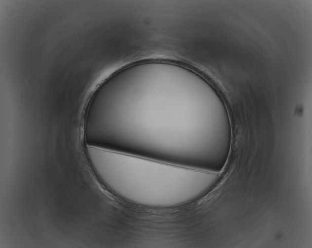 X0000097811367200803140749