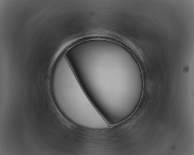X0000097811368200803140749