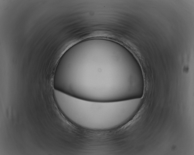 X0000097811369200803140749
