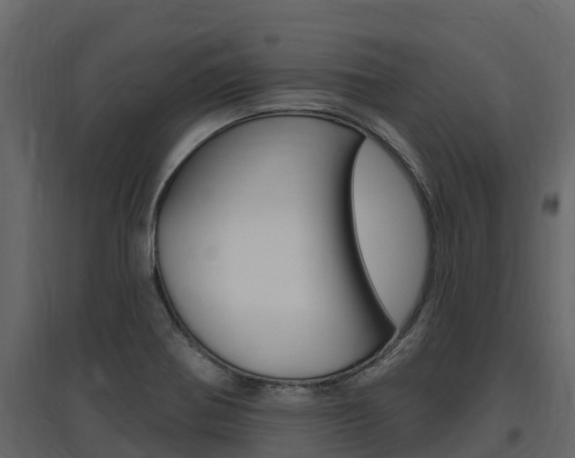 X0000097811370200803140749
