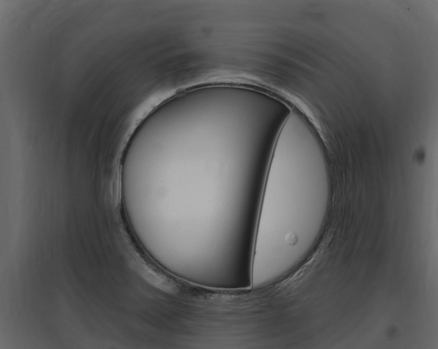 X0000097811371200803140749
