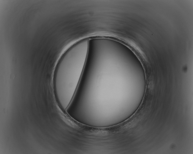 X0000097811372200803140749