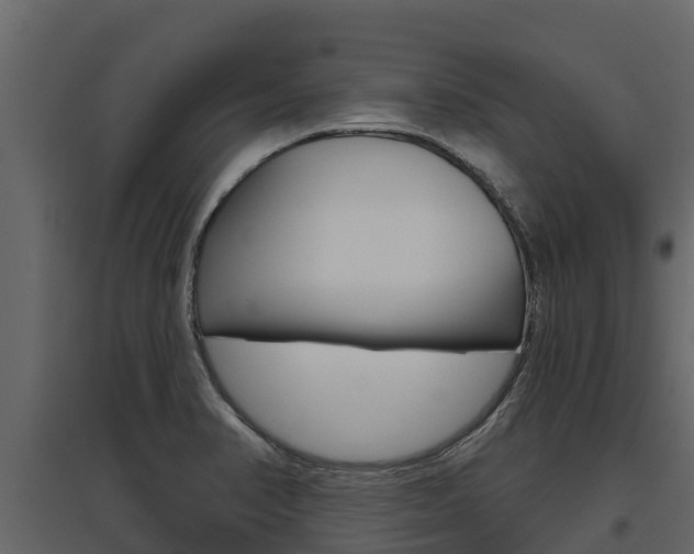 X0000097811374200803140749