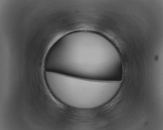 X0000097811375200803140749