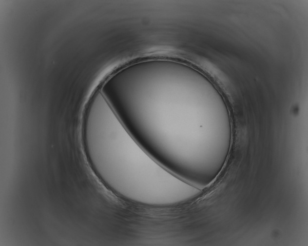 X0000097811376200803140749