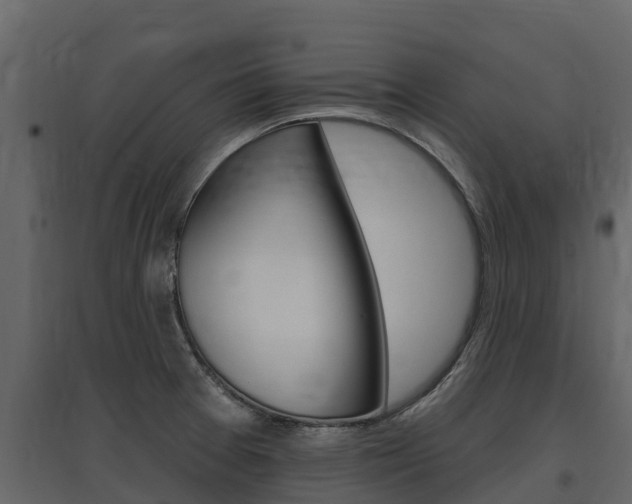 X0000097811377200803140749