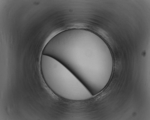 X0000097811378200803140749