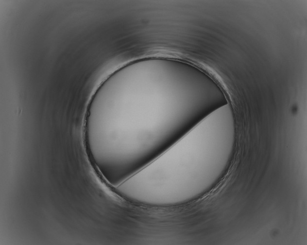 X0000097811379200803140749