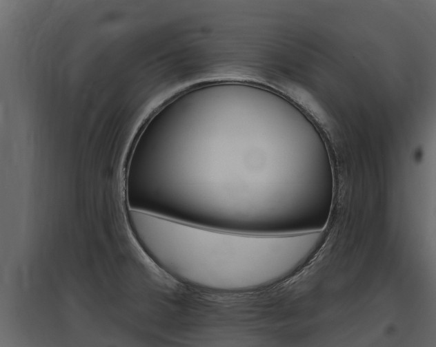 X0000097811380200803140749