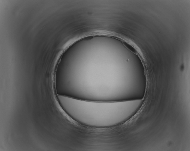 X0000097811381200803140749
