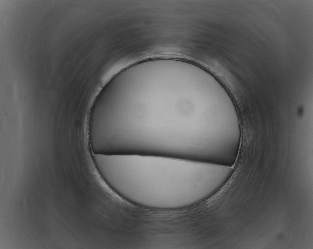 X0000097811382200803140749