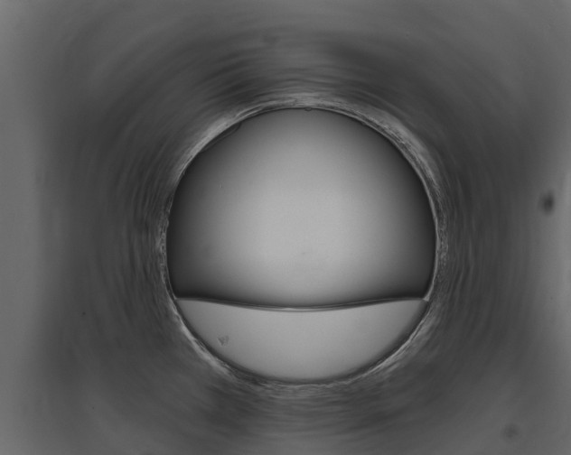 X0000097811385200803140749